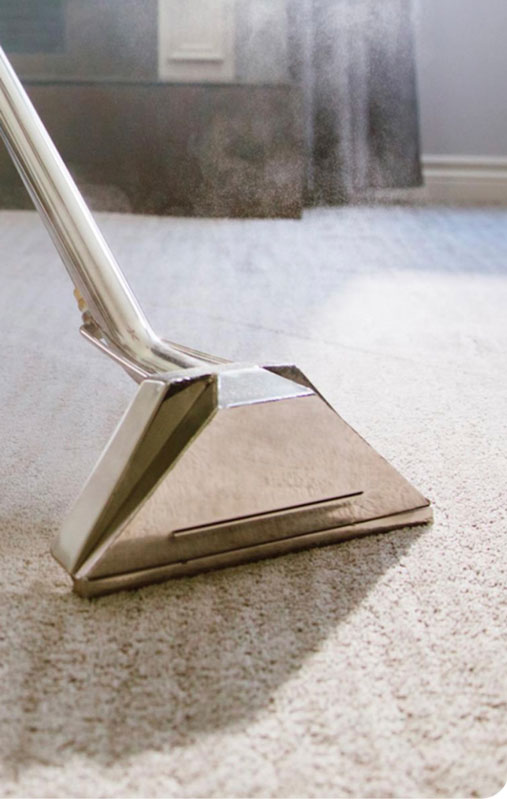 Carpet Cleaning Service in Grand Haven